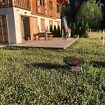 Apartment In New With Private Garden