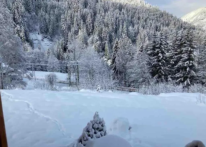 Appartement In New With Private Garden *